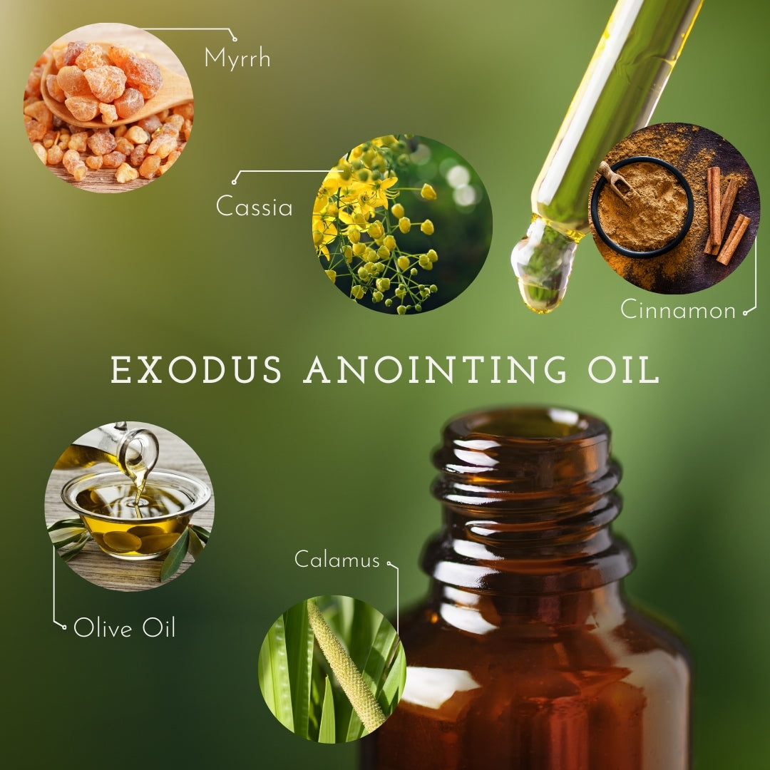 Photo with all oils used to create the Exodus Anointing Oil produced by Spark of Faith LLC.